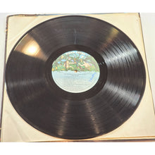 Load image into Gallery viewer, Sha Na Na &quot;The Golden Age Of Rock N Roll&quot; 1973 Vinyl LP 2-Record Set Rock &amp; Roll
