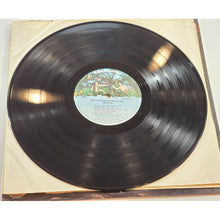 Load image into Gallery viewer, Sha Na Na &quot;The Golden Age Of Rock N Roll&quot; 1973 Vinyl LP 2-Record Set Rock &amp; Roll
