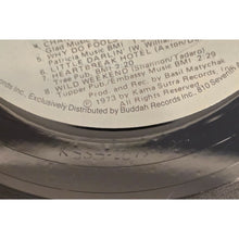 Load image into Gallery viewer, Sha Na Na &quot;The Golden Age Of Rock N Roll&quot; 1973 Vinyl LP 2-Record Set Rock &amp; Roll
