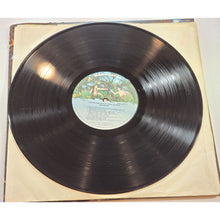 Load image into Gallery viewer, Sha Na Na &quot;The Golden Age Of Rock N Roll&quot; 1973 Vinyl LP 2-Record Set Rock &amp; Roll
