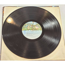Load image into Gallery viewer, Sha Na Na &quot;The Golden Age Of Rock N Roll&quot; 1973 Vinyl LP 2-Record Set Rock &amp; Roll
